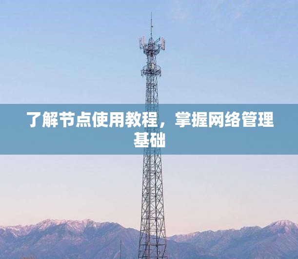 了解节点使用教程，掌握网络管理基础