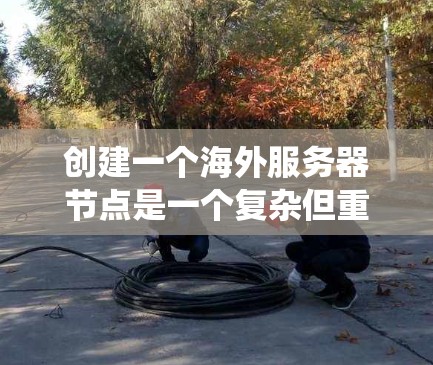 创建一个海外服务器节点是一个复杂但重要的过程，涉及多个步骤和考虑因素。以下是一个分步指南，帮助您系统地创建一个海外服务器节点