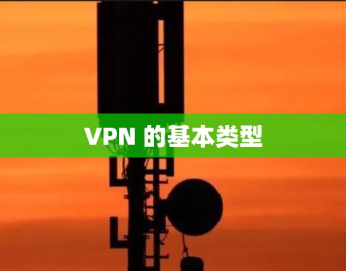 VPN 的基本类型