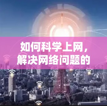如何科学上网，解决网络问题的实用指南