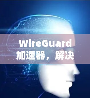 WireGuard加速器，解决Wi-Fi干扰的高效解决方案