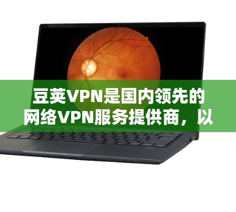 豆荚VPN是国内领先的网络VPN服务提供商，以其可靠性和安全性著称。以下是对豆荚VPN的详细介绍