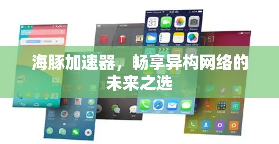 海豚加速器，畅享异构网络的未来之选