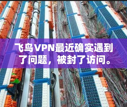 飞鸟VPN最近确实遇到了问题,被封了访问。以下是一些可能的原因和解决方法 飞鸟VPN最近确实遇到了问题,被封了访问。以下是一些可能的原因和解决方法