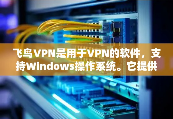 飞鸟VPN是用于VPN的软件,支持Windows操作系统。它提供了免费版和付费版两种版本,付费版通常功能更完善。以下是详细的步骤和详细信息