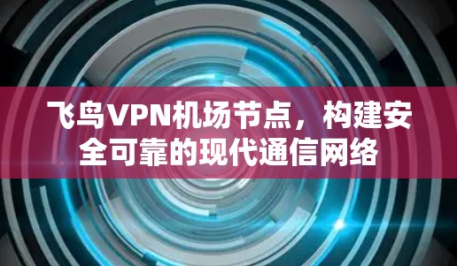 飞鸟VPN机场节点,构建安全可靠的现代通信网络