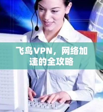 飞鸟VPN，网络加速的全攻略