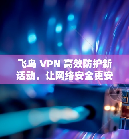 飞鸟 VPN 高效防护新活动，让网络安全更安心