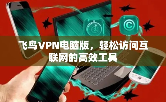 飞鸟VPN电脑版,轻松访问互联网的高效工具
