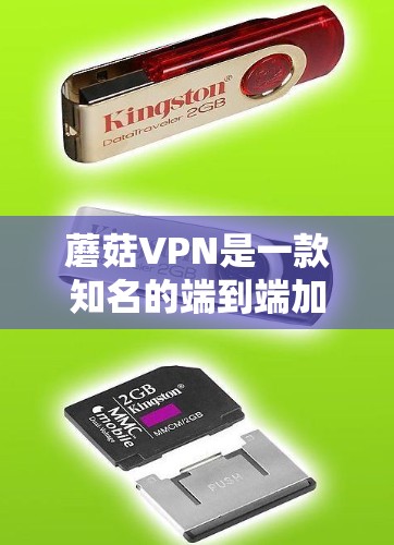 蘑菇VPN是一款知名的端到端加密VPN服务，提供多种端到端加密方式，包括2FA（双重认证）和端到端加密。如果你想下载官方版本，可以按照以下步骤进行
