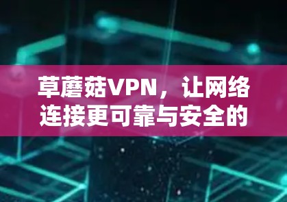 草蘑菇VPN，让网络连接更可靠与安全的解决方案