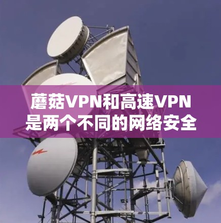 蘑菇VPN和高速VPN是两个不同的网络安全工具，主要区别在于它们的设计目标、功能模块和使用场景。以下是它们的主要区别和特点