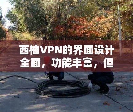 西柚VPN的界面设计全面，功能丰富，但需注意以下几点以避免常见问题