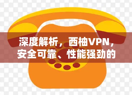 深度解析，西柚VPN，安全可靠、性能强劲的 VPN 全球第一