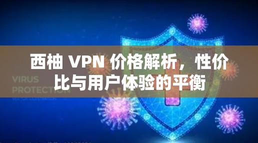 西柚 VPN 价格解析,性价比与用户体验的平衡