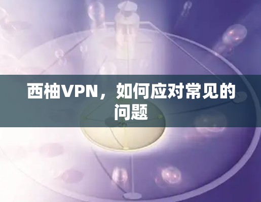 西柚VPN,如何应对常见的问题 西柚VPN,如何应对常见的问题