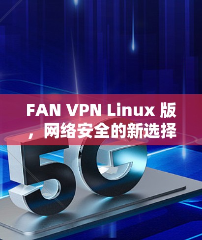 FAN VPN Linux 版，网络安全的新选择
