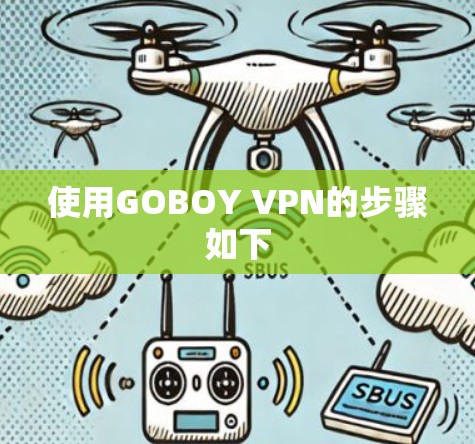 使用GOBOY VPN的步骤如下