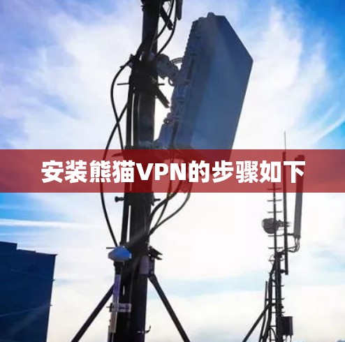安装熊猫VPN的步骤如下