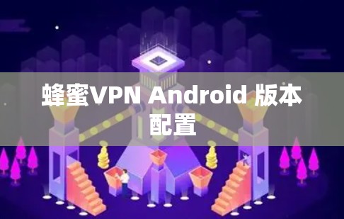 蜂蜜VPN Android 版本配置
