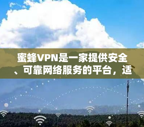 蜜蜂VPN是一家提供安全、可靠网络服务的平台,适合用户访问多个网站和下载资源。以下是一些推荐,帮助您找到最适合的解决方案