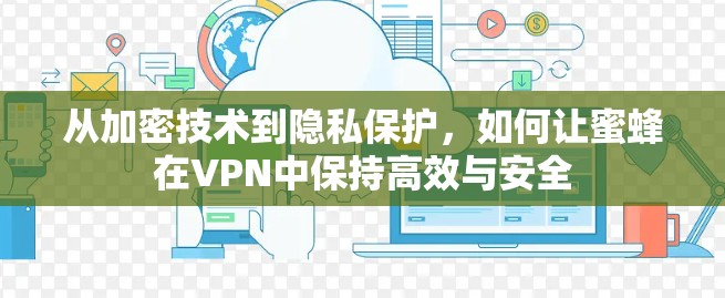 从加密技术到隐私保护,如何让蜜蜂在VPN中保持高效与安全