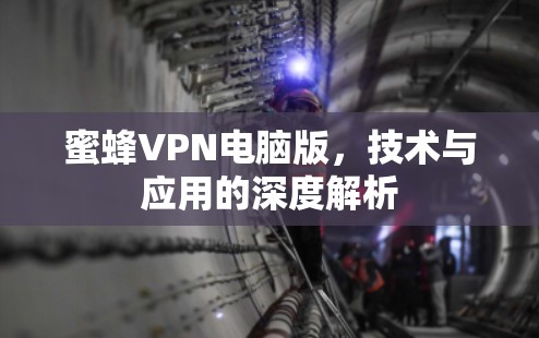 蜜蜂VPN电脑版,技术与应用的深度解析
