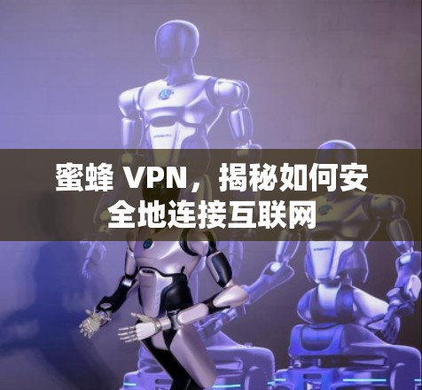 蜜蜂 VPN,揭秘如何安全地连接互联网