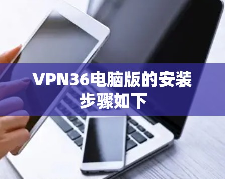 VPN36电脑版的安装步骤如下