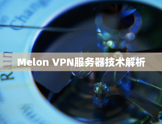 Melon VPN服务器技术解析