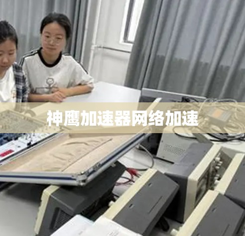 神鹰加速器网络加速
