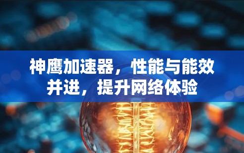 神鹰加速器，性能与能效并进，提升网络体验