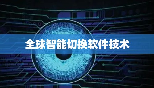全球智能切换软件技术 全球智能切换软件技术