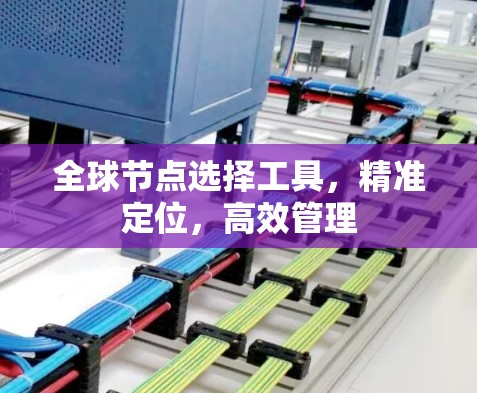 全球节点选择工具，精准定位，高效管理