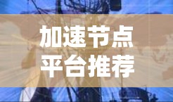 加速节点平台推荐 加速节点平台推荐