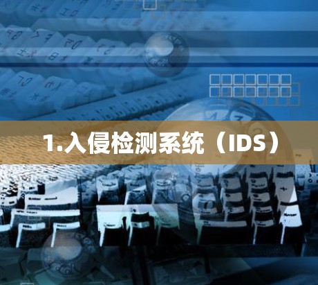1.入侵检测系统(IDS) 1.入侵检测系统(IDS)