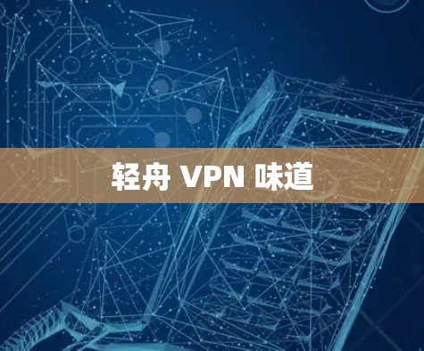 轻舟 VPN 味道 轻舟 VPN 味道