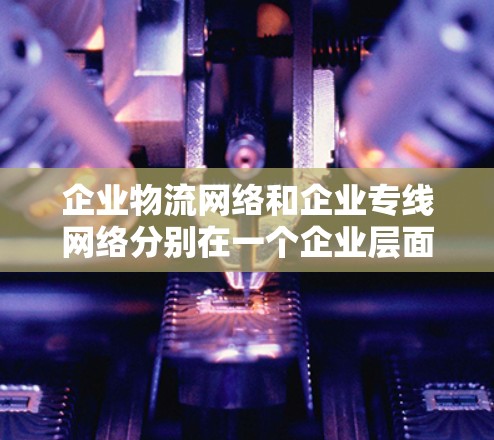 企业物流网络和企业专线网络分别在一个企业层面提供不同的服务类别,各自在不同的应用场景中发挥作用。以下是它们的主要区别和特点 企业物流网络和企业专线网络分别在一个企业层面提供不同的服务类别,各自在不同的应用场景中发挥作用。以下是它们的主要区别和特点