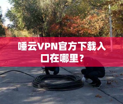 唾云VPN官方下载入口在哪里？