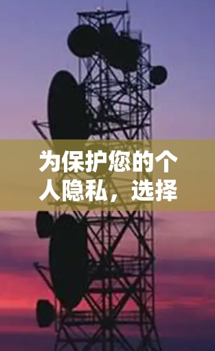 为保护您的个人隐私,选择合适的VPN服务 为保护您的个人隐私,选择合适的VPN服务