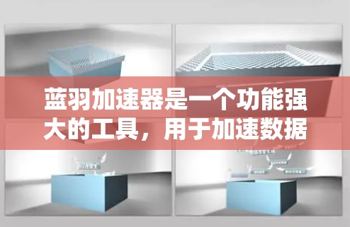 蓝羽加速器是一个功能强大的工具，用于加速数据传输和处理。以下是一个详细的使用指南，帮助你掌握蓝羽加速器的使用方法