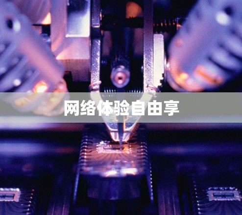 网络体验自由享