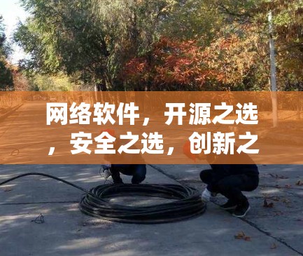 网络软件，开源之选，安全之选，创新之选