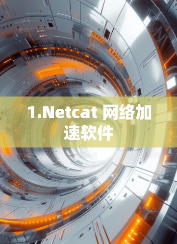 1.Netcat 网络加速软件 1.Netcat 网络加速软件