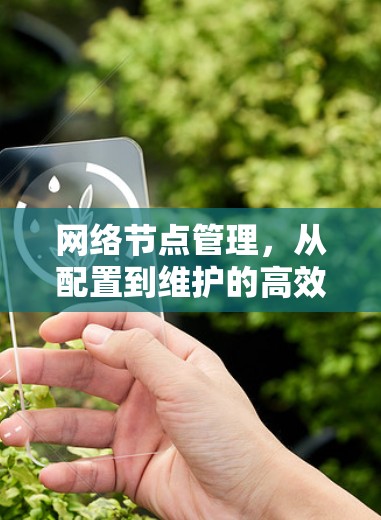 网络节点管理，从配置到维护的高效管理