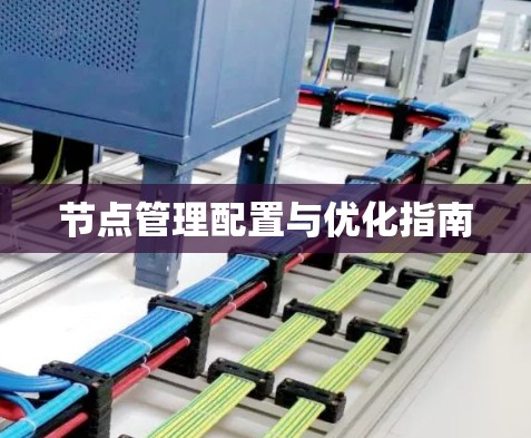 节点管理配置与优化指南