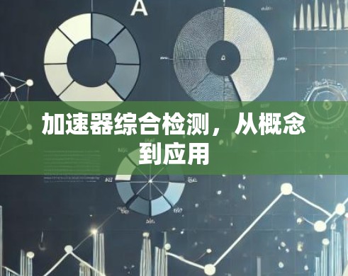 加速器综合检测,从概念到应用 加速器综合检测,从概念到应用