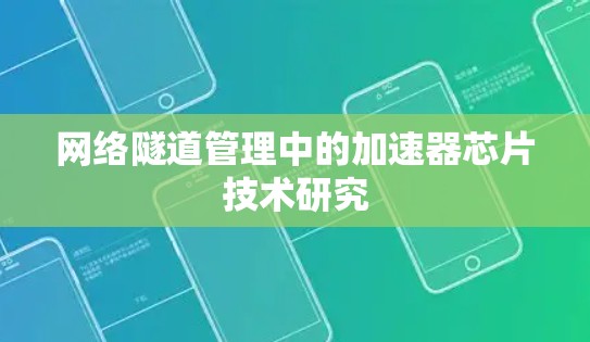 网络隧道管理中的加速器芯片技术研究 网络隧道管理中的加速器芯片技术研究