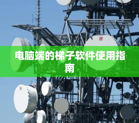 电脑端的梯子软件使用指南