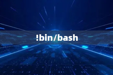 !bin/bash !bin/bash